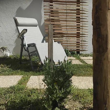 Sardine, Face A La Foret * Saint-Hilaire-de-Riez