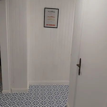 Sardine, Face à La Forêt Saint-Hilaire-de-Riez