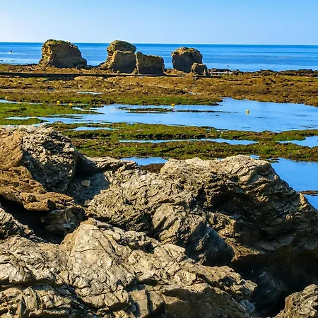 Sardine, Face à La Forêt Hébergement de vacances