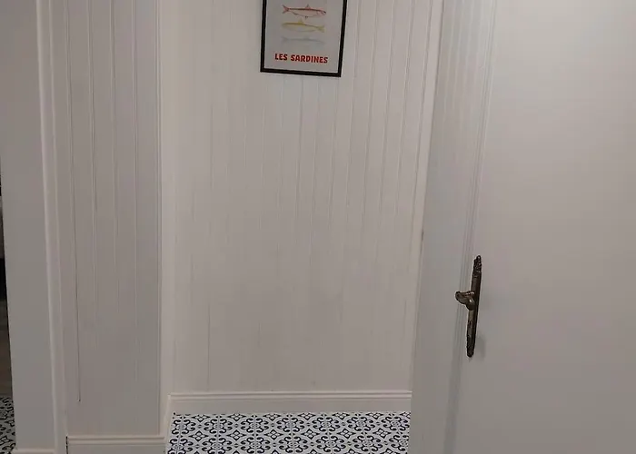 Sardine, Face à La Forêt Saint-Hilaire-de-Riez