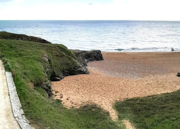 Sardine, Face à La Forêt