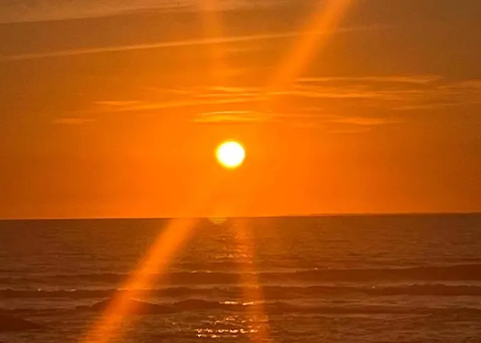 Sardine, Face à La Forêt Saint-Hilaire-de-Riez