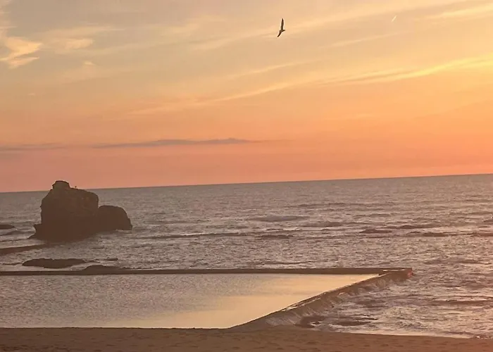 Hébergement de vacances Sardine, Face à La Forêt